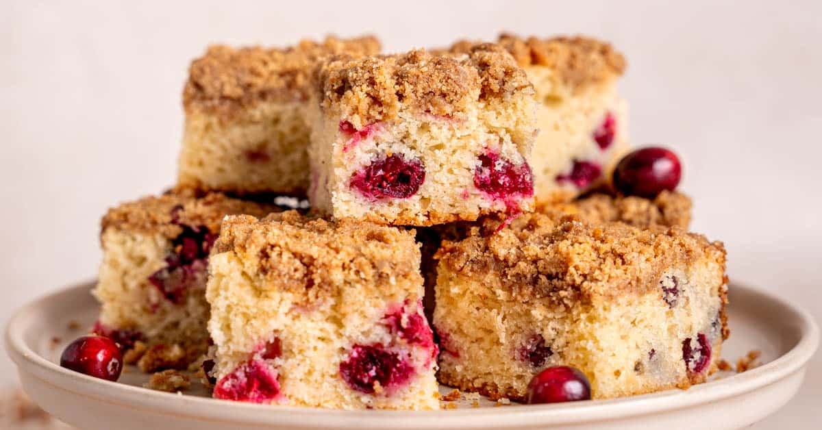 Moist Cranberry Coffee Cake: Orange Infused & Streusel Topped